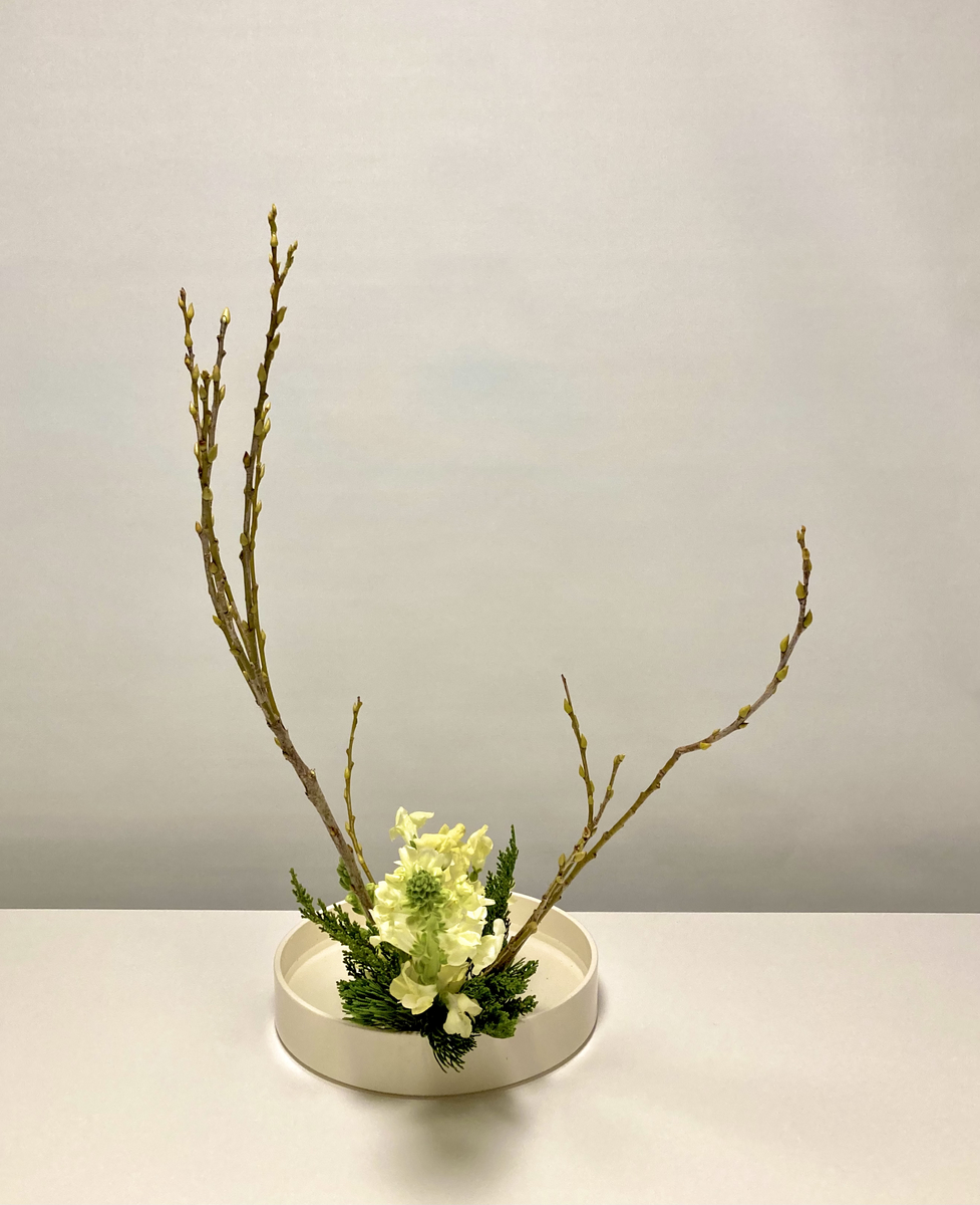 昨日のお稽古：26 Feb 2022 - 花をいけてみたら変わること