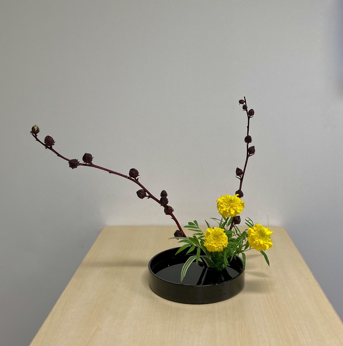 ラ*ク様 ❤️開花株❤️長年保有株❤️996⭐️極上⭐️