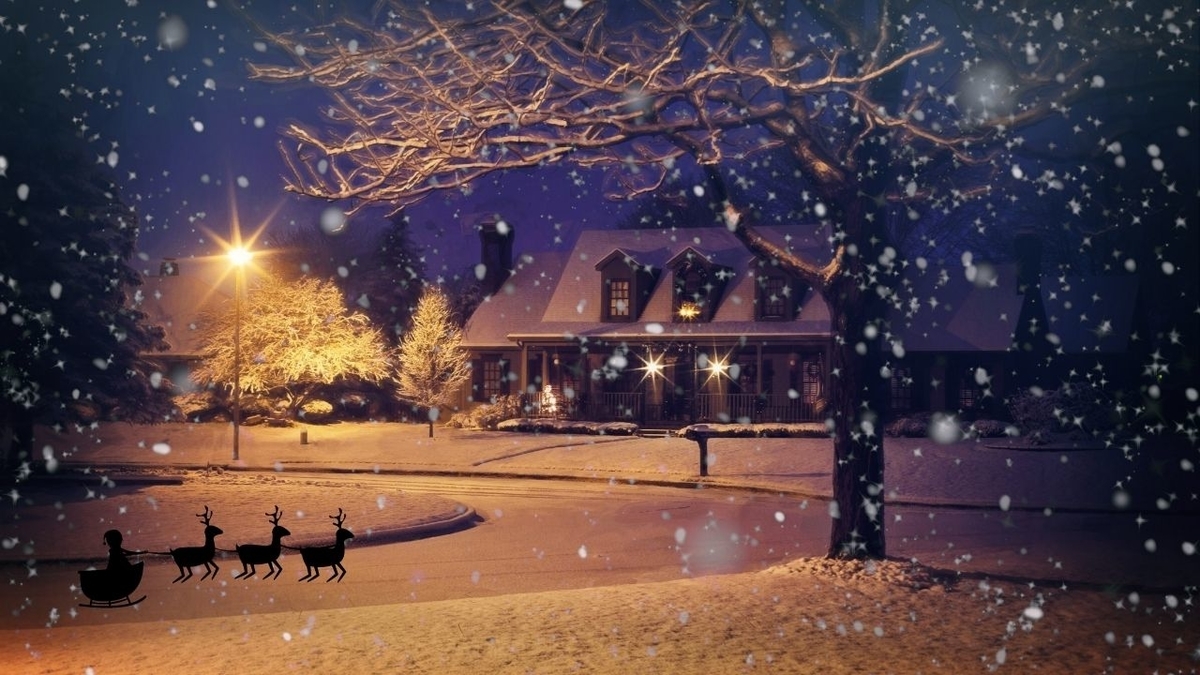 f:id:Soul-Kitchen:20211211100751j:plain