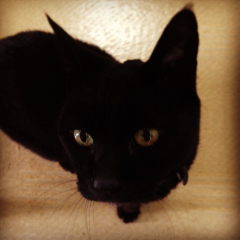 f:id:Souriante:20130105123655j:image