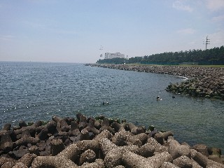 f:id:SouthApollon:20180714152254j:image f:id:SouthApollon:20180714152254j:image