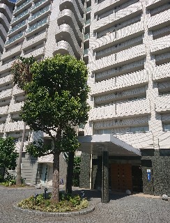 f:id:SouthApollon:20180721002733j:image f:id:SouthApollon:20180721002733j:image