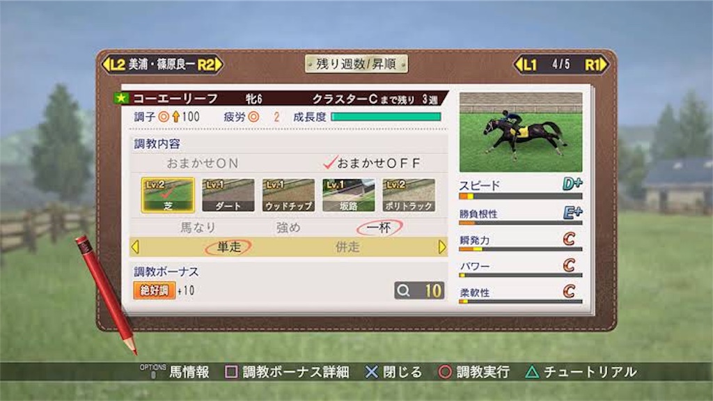 f:id:SouthBird0912:20190403005410j:image