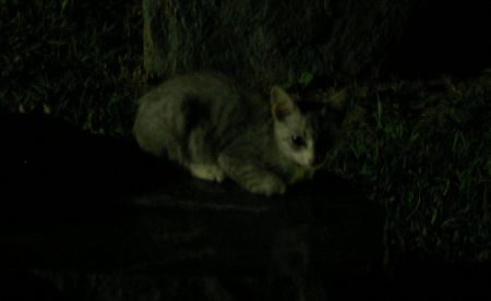 20120804224959