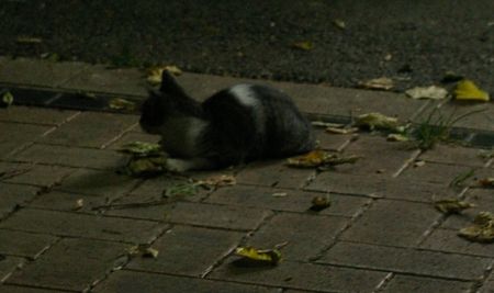 20120804225000