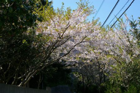 f:id:Spawning_Pool:20140406141327j:image