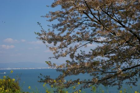 f:id:Spawning_Pool:20140406141555j:image