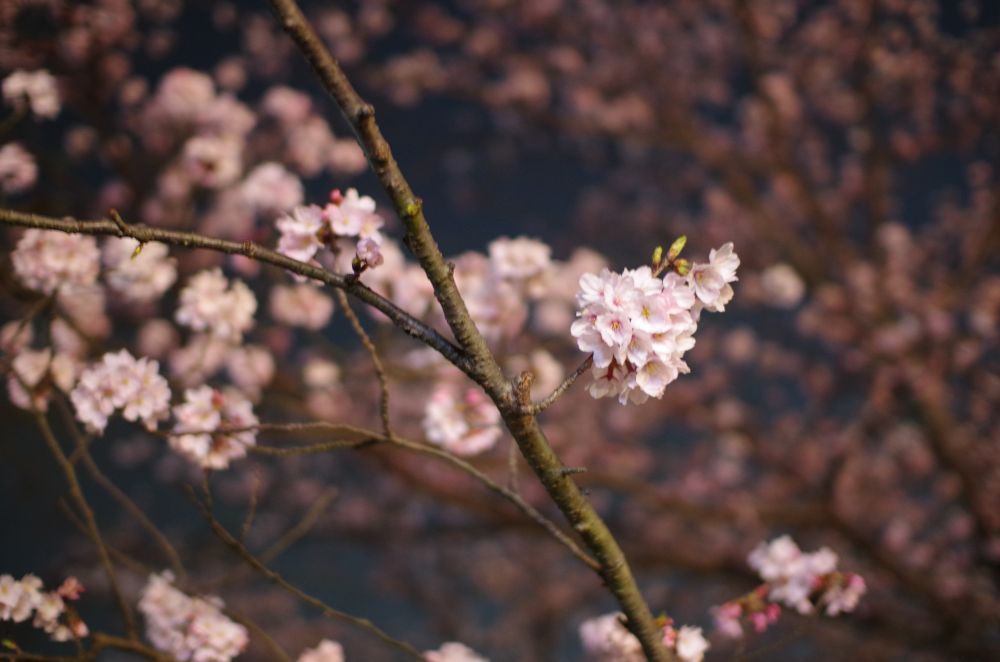 20160330212429