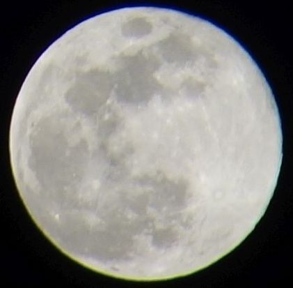 f:id:Spawning_Pool:20170411212331j:image