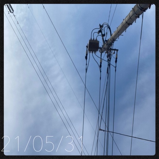 f:id:Specimen:20210531071519j:plain