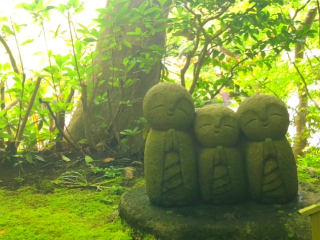 f:id:Spectabilis:20200830134731j:image f:id:Spectabilis:20200830134731j:image