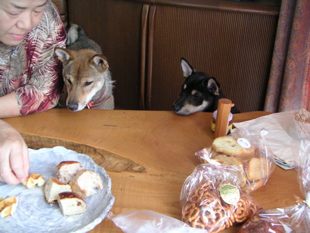 f:id:SpectredelaRose:20060924083357j:image
