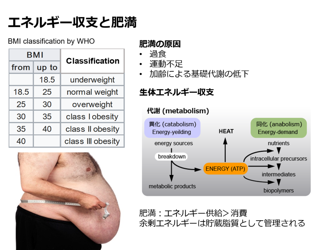 f:id:Sphingoid:20190108091457p:plain f:id:Sphingoid:20190108091457p:plain