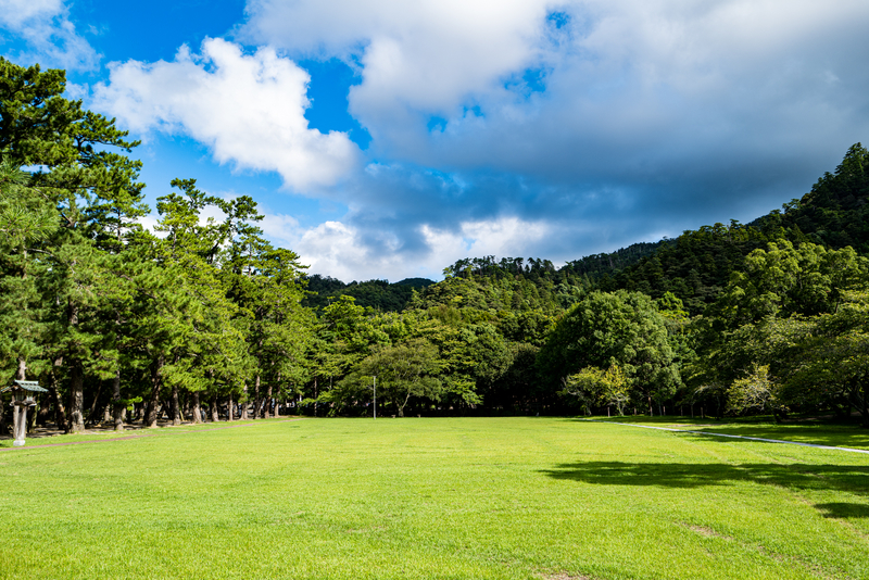 f:id:Spiral_NT:20191215101816j:plain