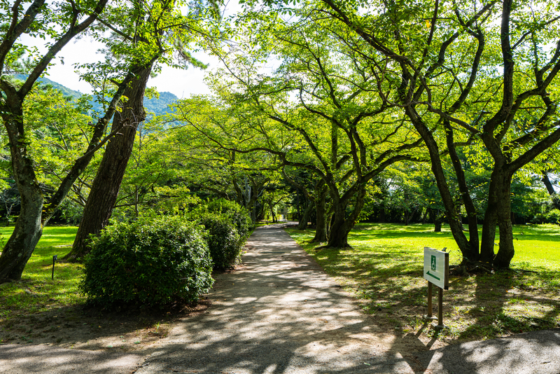 f:id:Spiral_NT:20191215101823j:plain