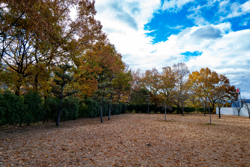 f:id:Spiral_NT:20200213115307j:plain f:id:Spiral_NT:20200213115307j:plain