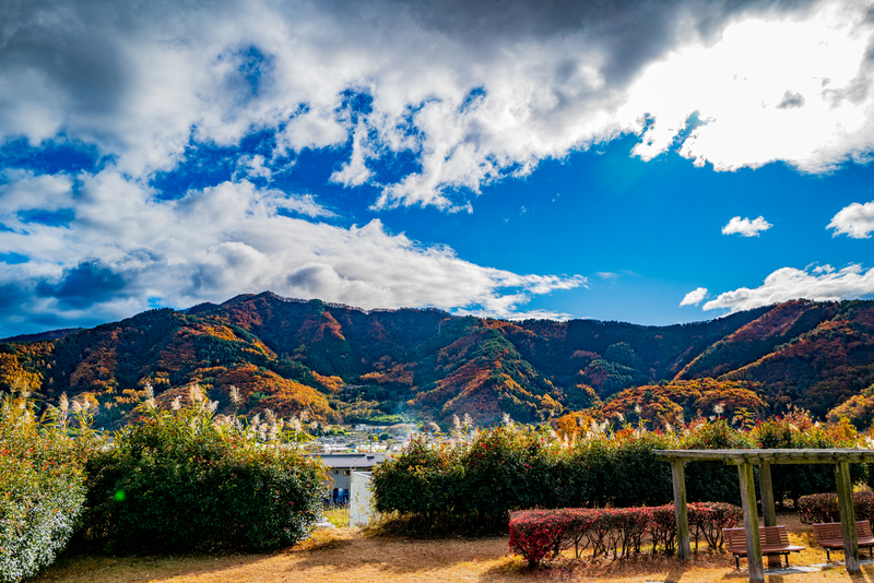 f:id:Spiral_NT:20200213115322j:plain f:id:Spiral_NT:20200213115322j:plain