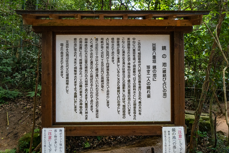 f:id:Spiral_NT:20200516134939j:plain