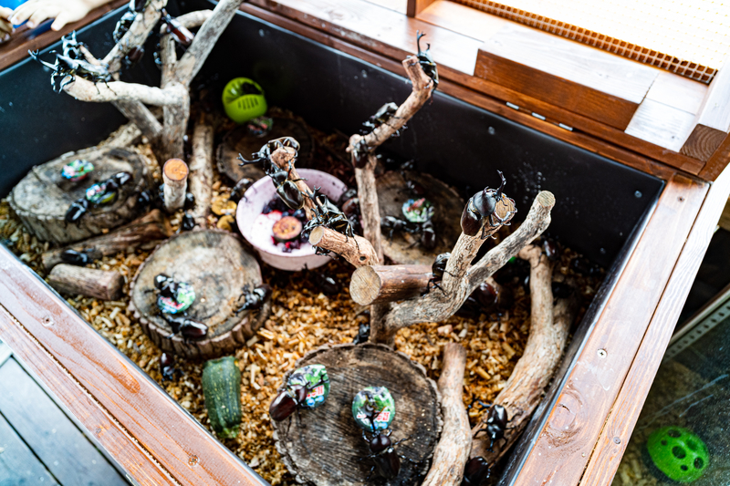 f:id:Spiral_NT:20201023080642j:plain