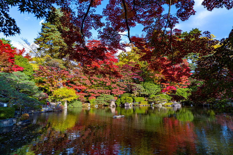 f:id:Spiral_NT:20201111062920j:plain