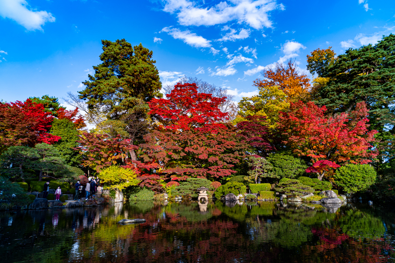 f:id:Spiral_NT:20201111062939j:plain