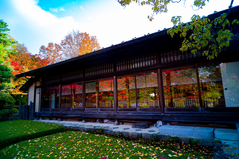 f:id:Spiral_NT:20201111062948j:plain