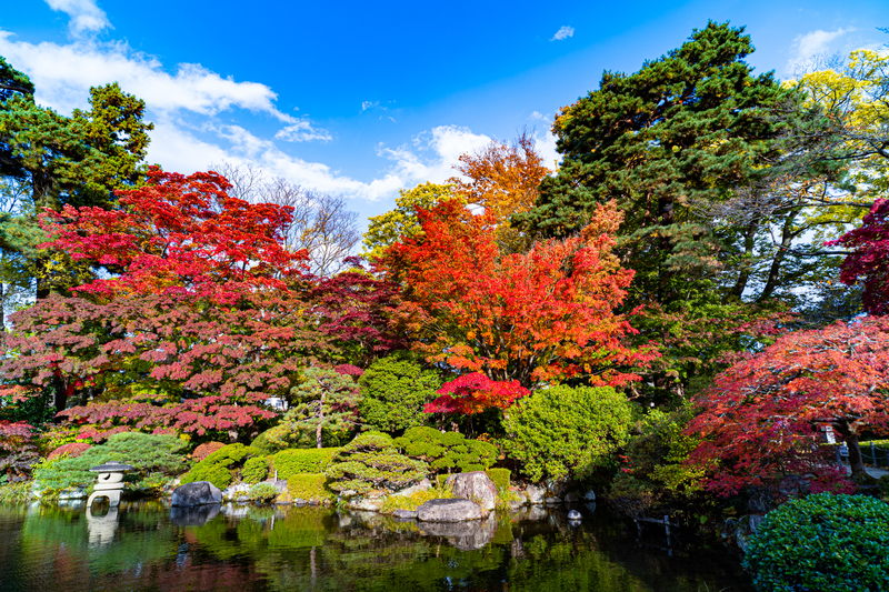 f:id:Spiral_NT:20201111062955j:plain