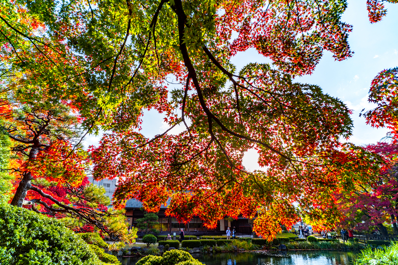 f:id:Spiral_NT:20201111063021j:plain