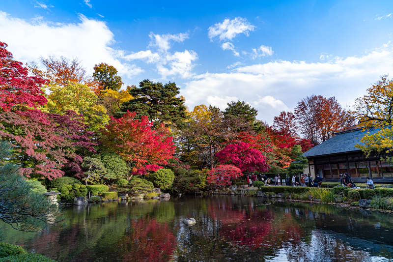 f:id:Spiral_NT:20201111063105j:plain