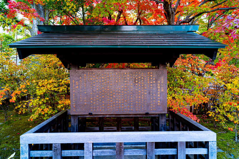 f:id:Spiral_NT:20201111063128j:plain