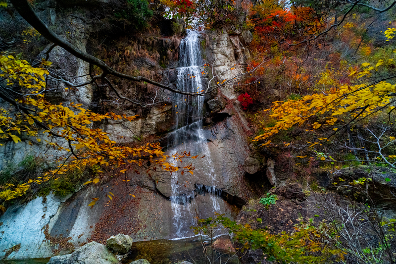 f:id:Spiral_NT:20201111063335j:plain f:id:Spiral_NT:20201111063335j:plain