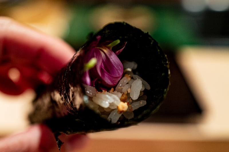 f:id:Spiral_NT:20201113004146j:plain f:id:Spiral_NT:20201113004146j:plain