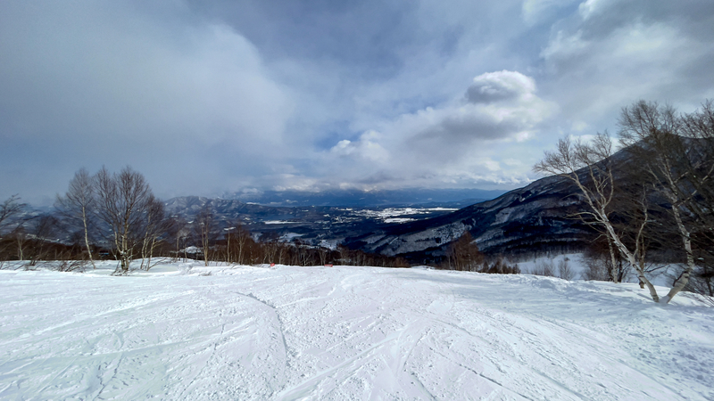f:id:Spiral_NT:20210206073713j:plain