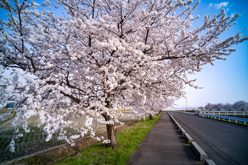 f:id:Spiral_NT:20210409065512j:plain