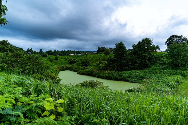 f:id:Spiral_NT:20210913212141j:plain