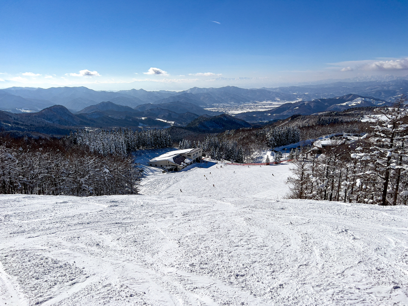 f:id:Spiral_NT:20220123123052j:plain