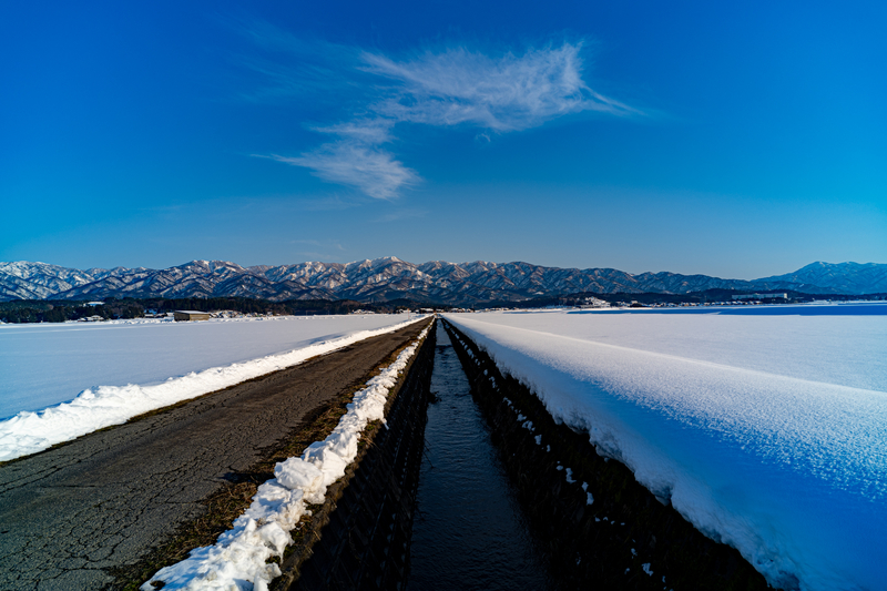 f:id:Spiral_NT:20220319095556j:plain