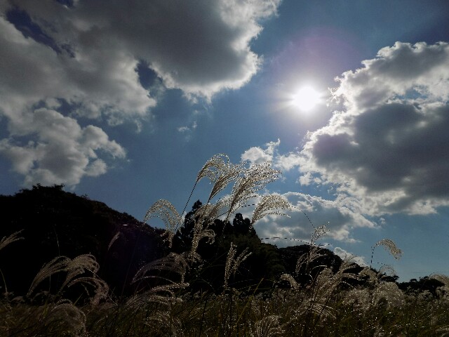 f:id:SpiritualCameraman:20161211154354j:image