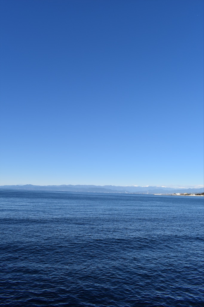 f:id:Spsep_173:20210125205557j:image f:id:Spsep_173:20210125205557j:image
