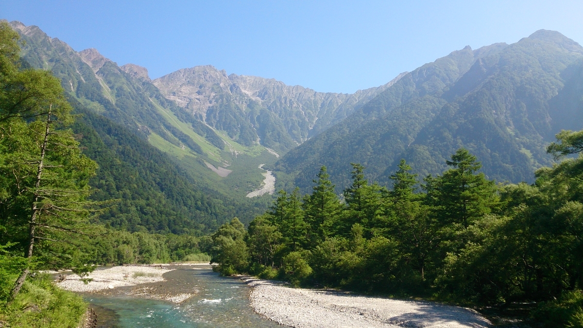 f:id:Squid_Angler_55:20220408085515j:plain