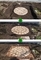 20230410145536