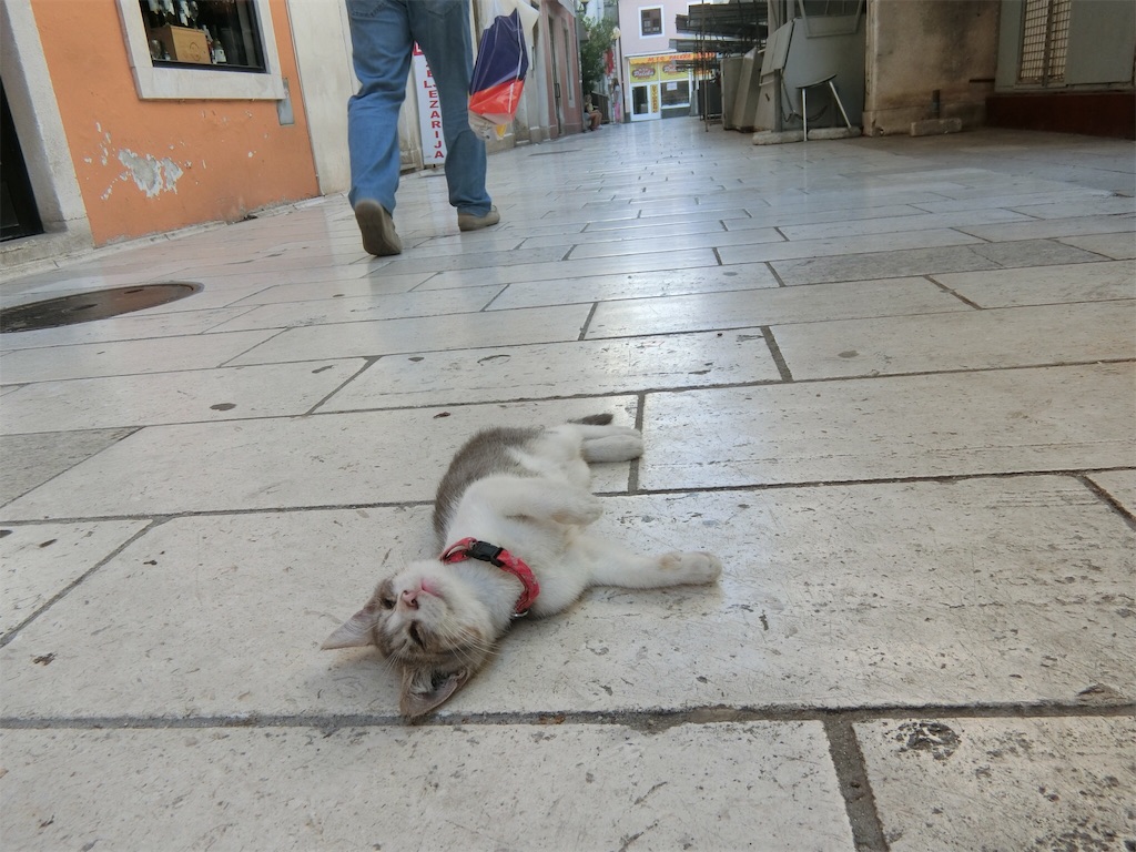 f:id:Sretanput:20191113195755j:image