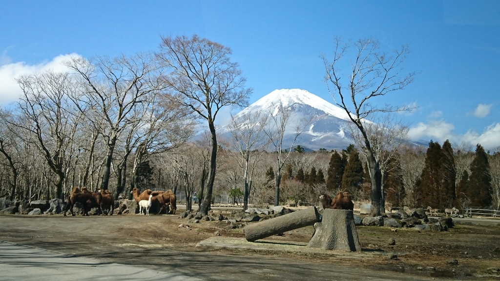 f:id:St-Fuji:20190226105528j:plain