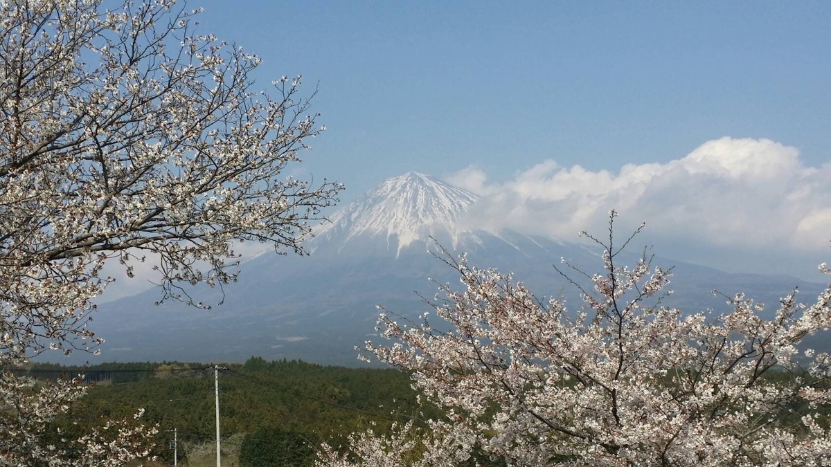 f:id:St-Fuji:20190407110919j:plain