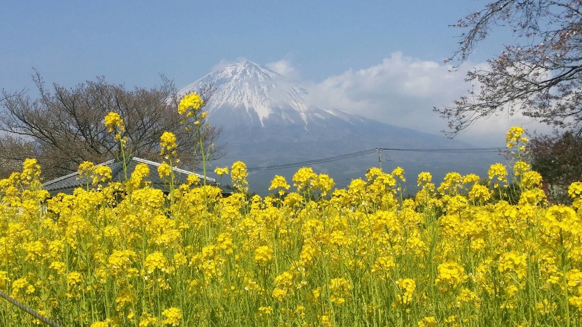 f:id:St-Fuji:20190409160007j:plain