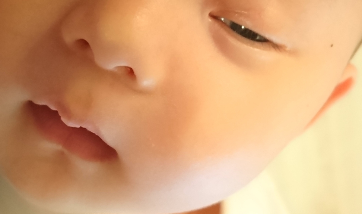 f:id:St-Fuji:20190512175430j:plain