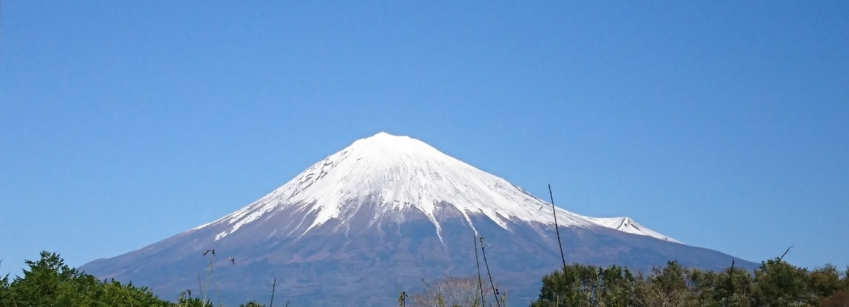 f:id:St-Fuji:20191008171441j:plain