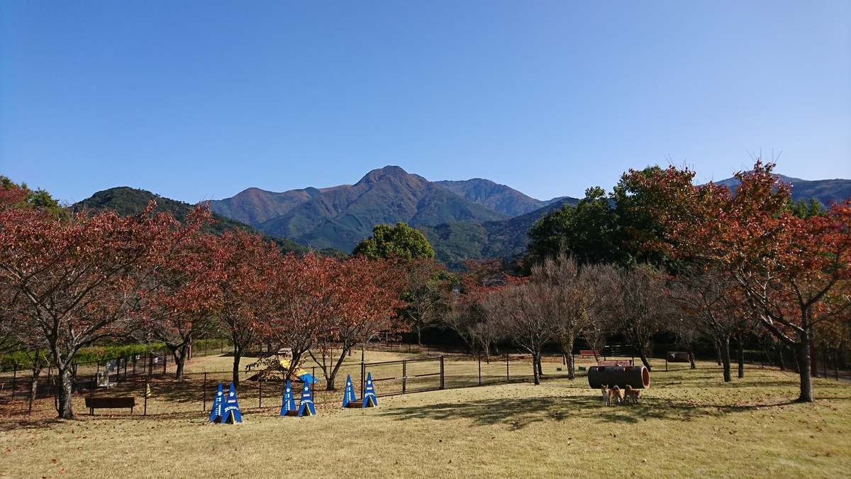 f:id:St-Fuji:20201101114125j:plain