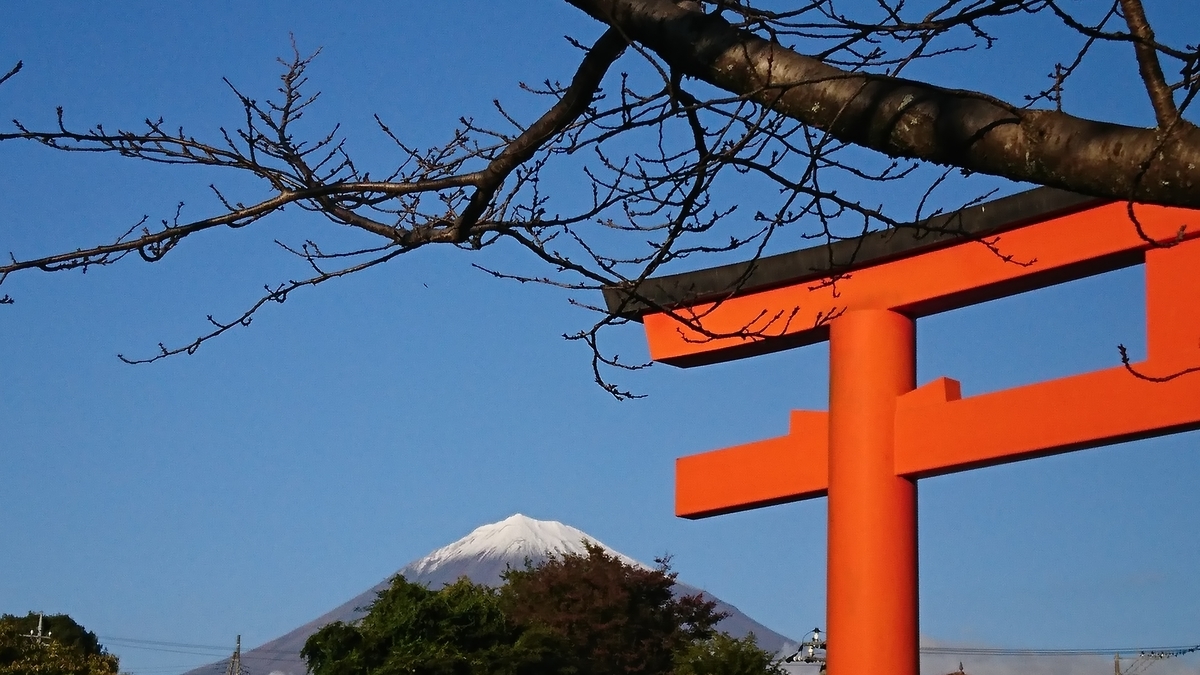 f:id:St-Fuji:20201103174651j:plain