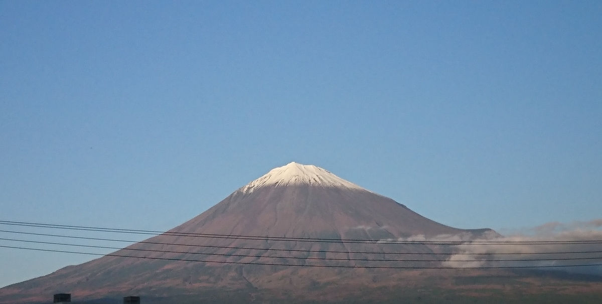 f:id:St-Fuji:20201103175222j:plain